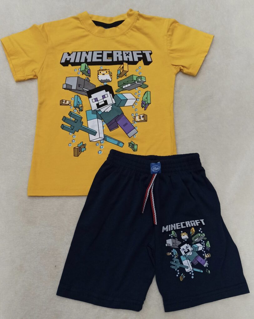 CONJUNTO MINECRAFT